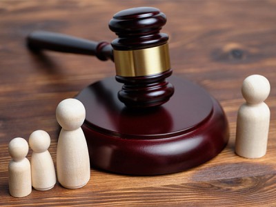 ЦИВІЛЬНІ СПОРИ